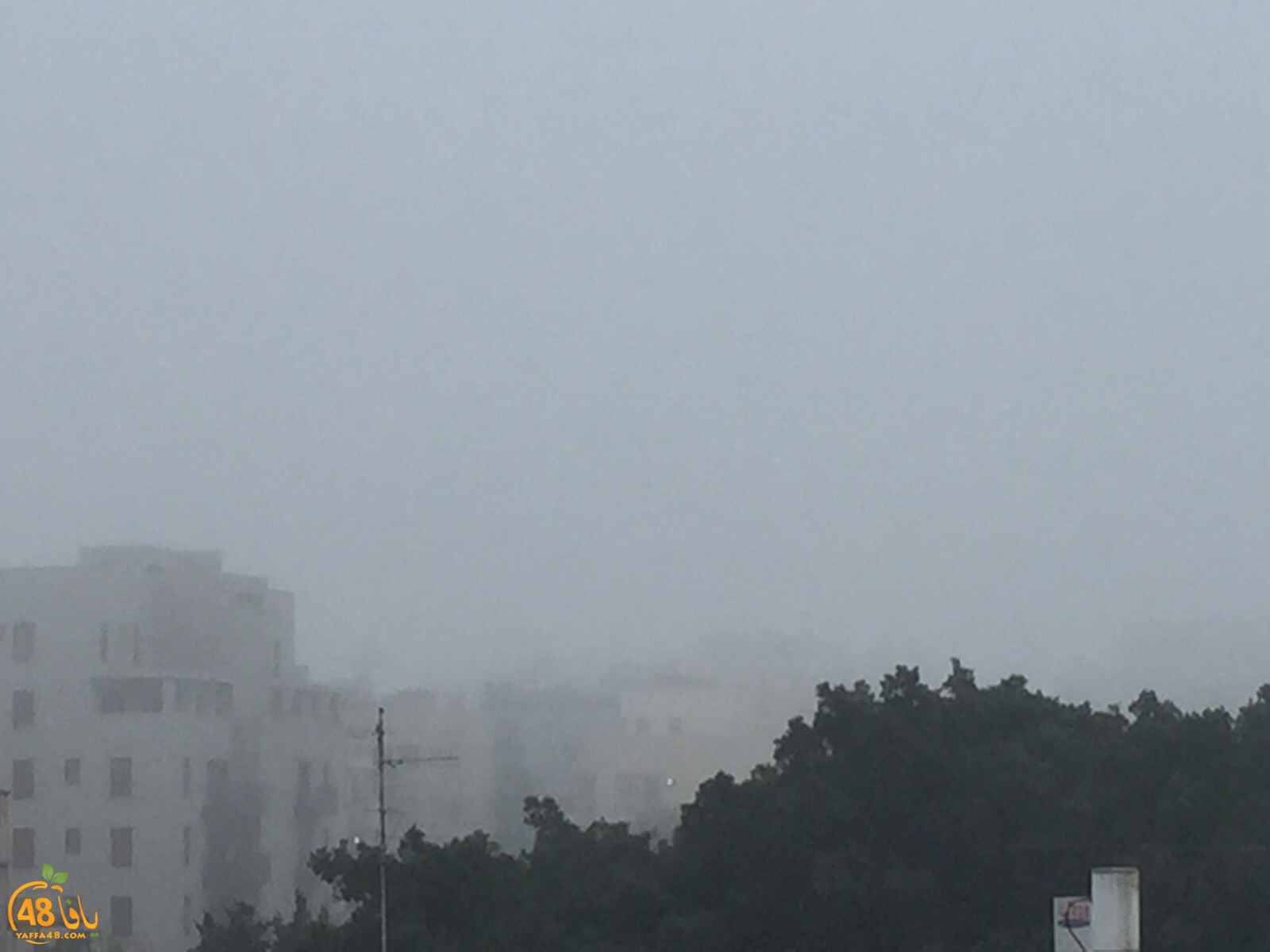 fog in yaffa (4).jpg